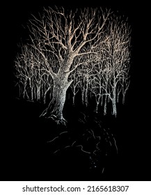 Silver oak tree silhouettes on a black background. Vector traced vintage ink and pen sketch drawing 