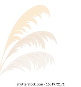 Silver Pampas grass Card template frame on the left with copy space. Vector illustration. Floral golden ornamental grass. flyer, flier, text textile, design arrangements, displays, decoration