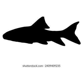 Silver Redhorse fish silhouette vector art