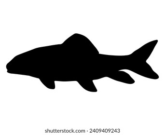 Silver Redhorse fish silhouette vector art