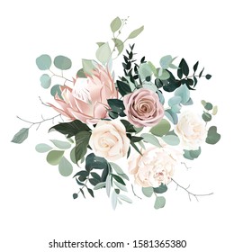 Silver sage and blush pink flowers vector design bouquet. Beige protea, creamy and dusty rose, white ivory peony, eucalyptus, greenery. Wedding floral garland. Pastel watercolor. Isolated and editable