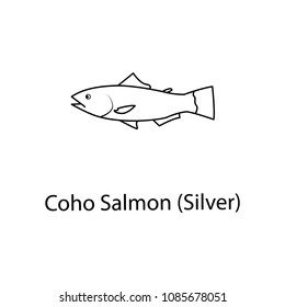 silver salmon icon. Element of marine life for mobile concept and web apps. Thin line silver salmon icon can be used for web and mobile. Premium icon on white background