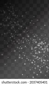 Silver Snow Vector Transparent Background. Sky Snowflake Design. White magic Texture. Falling Snowfall Pattern.