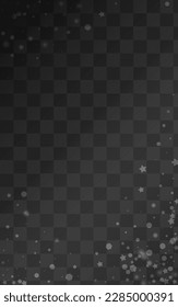 Silver Snow Vector Transparent Background. magic Snowflake Backdrop. White Winter Texture. Christmas Confetti Holiday.