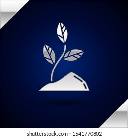 Silver Sprout icon isolated on dark blue background. Seed and seedling. Leaves sign. Leaf nature.  Vector Illustration