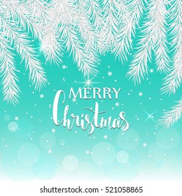 Silver spruce branches on a blue background. Christmas card