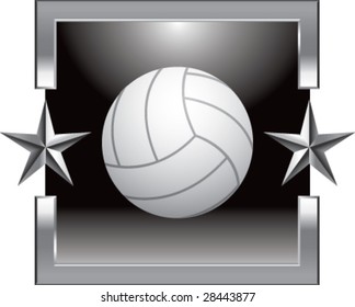 silver star volleyball