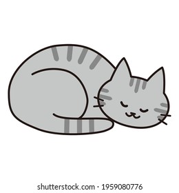 A silver tabby cat that curls up and sleeps happily.