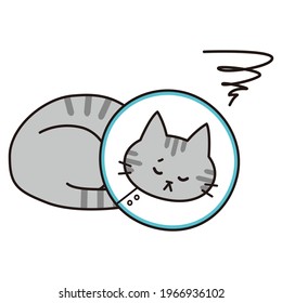 A silver tabby cat that looks sick with an Elizabethan collar.