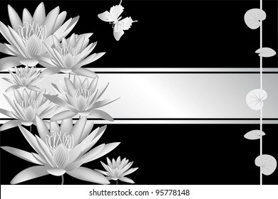 silver water lily and black background