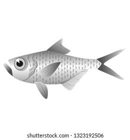 silver wild fish gradient color bright illustration. Underwater tropical exotic fish series