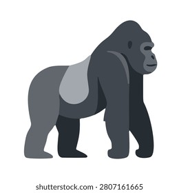 Silverback gorilla standing side view illustration for wildlife conservation poster and zoo graphic
