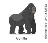 Silverback gorilla vector illustration, cartoon clipart character, animal in flat style. Wild animals, wild creatures, wildlife concept. Gorilla vector design isolated on white background