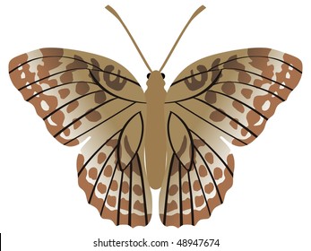 Silver-washed Fritillary butterfly