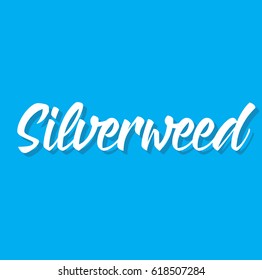 silverweed, text design. Vector calligraphy. Typography poster. Usable as background.