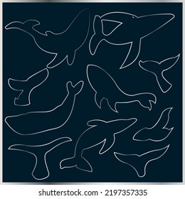 silvery contours of whales and dolphins for logos, inserts, zakov, badges