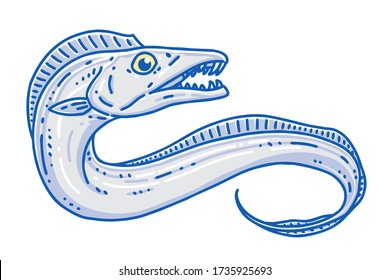 Silvery hairtail(Cutlassfish). Colored vector illustration.