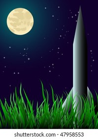 A  silvery rocket on the grass in the moonlight