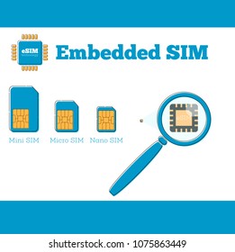 SIM card evolution concept in flat style. MiniSIM, microSIM, nanoSIM and eSIM cards. Mobile communication technology vector illustration.