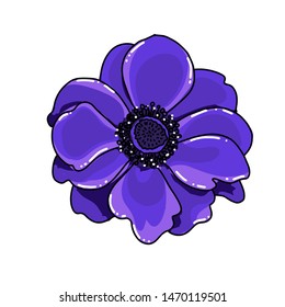 Simgle big hand drawn colored anemone. Blue flower with black line path, close-up, on a white background. Botanical vector illustration field flower. Beautiful blossom of Poppy Anemone Coronaria.