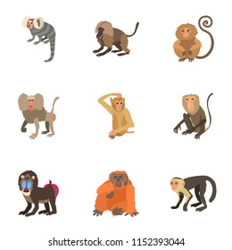 Simian icons set. Cartoon set of 9 simian vector icons for web isolated on white background