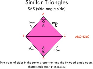 Similar Triangles. Triangles SAS side angle side. Two pairs of sides in the same proportion and the included angle equal. Mathematics lesson. Educational, geometry vector graphic.