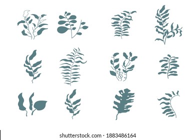 Simle abstract plants set on white background. Minimalistic botanical vector illustration.