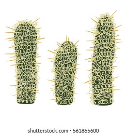 Simmple Cactus collection isolated on white background.