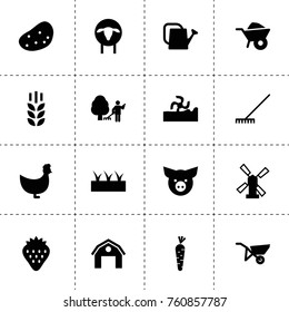 Simple 16 set of agriculture filled icons such as wheat, rake, harvester, sheep, wheelbarrow, sprouting, chicken, windmill, hangar, strawberry, watering can, potato
