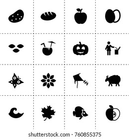 Simple 16 set of nature filled icons such as seeds, apple, sheep, flower, bread, eggs, potato, acer leaf, woman with garbage, pumpkin, wave, kite, butterfly, fish