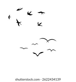 Simples 2 aves de categoria voando no céu. simples aves voando ilustração vetor.