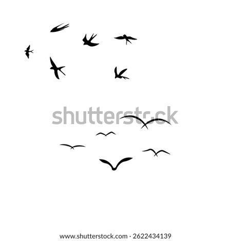 Simple 2 category birds flying on the sky. simple bird's flying illustration vector.