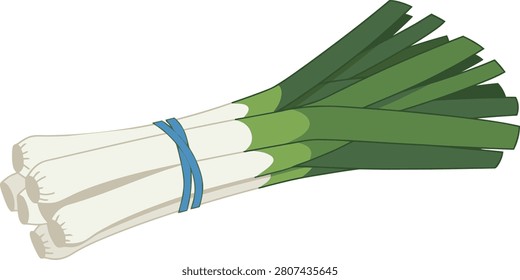 Simple 2D flat vector illustration of a bunch of fresh green leeks or spring onions tied together with a blue rubber band, isolated on a white background. Ideal for cooking and recipe graphics.
