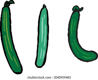 Simple 3 types of cucumber illustrations