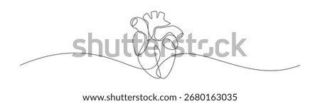 Simple, abstract anatomical human heart drawn with continuous line. Great graphic illustration for medical designs and commercial purposes.