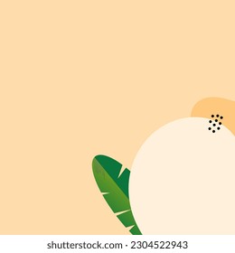Simple abstract background with nature pastel background. Wallpaper design for social media posts. Paper background in minimal trendy flat style with copy space for text.