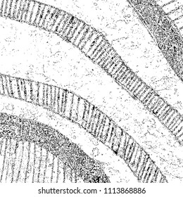 Simple abstract black and white drawing. Expressive drawing. Abstract Overlay Texture. Vector.
