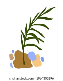 Simple abstract color vector drawing. Palm branch with green leaf vegetation and brown, blue spots isolated on white background. Composition for prints, posters, interior decor.