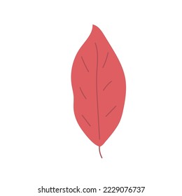 Simple Abstract hand drawn and doodle leaves Autumn Botanical Nature contemporary modern trendy vector Elements illustration on white background.
