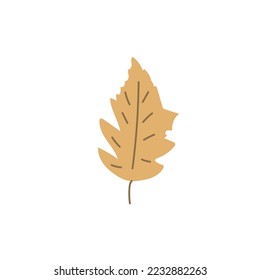 Simple Abstract hand drawn and doodle leaves Autumn Botanical Nature contemporary modern trendy vector Elements illustration on white background.