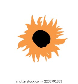 Sencillo Resumen dibujado a mano y doodle girasol Naturaleza Botánica Retro moderno vector moderno Elementos ilustración sobre fondo blanco.