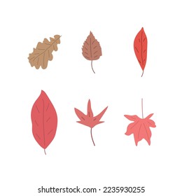 Resumen simple dibujado a mano y doodle deja la naturaleza botánica otoñal moderna moderna de moda vectorial Elementos ilustración de fondo blanco.