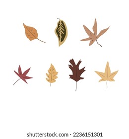 Resumen simple dibujado a mano y doodle deja la naturaleza botánica otoñal moderna moderna de moda vectorial Elementos ilustración de fondo blanco.