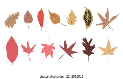 Simple Abstract hand drawn and doodle leaves Autumn Botanical Nature contemporary modern trendy vector Elements illustration on white background.