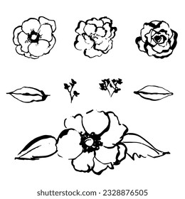 Sencillos garabatos abstractos dibujados a mano. La naturaleza botánica flora y deja objetos modernos elementos modernos de moda ilustración vectorial.