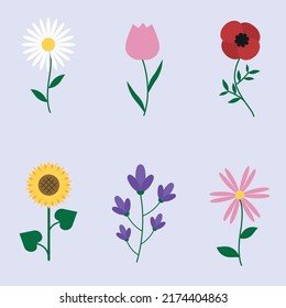 Simple abstract hand drawn flowers. Nature and leaves botanical modern trendy vector illustration