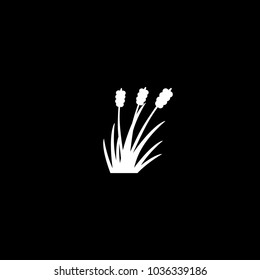 Simple abstract white plants and grass silhouette on black background. Element or icon for design nature concept
