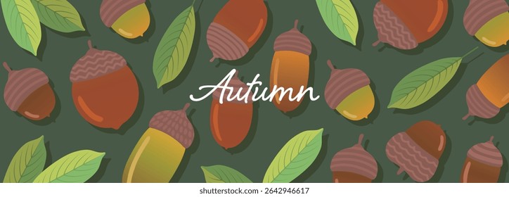 Simple acorn background illustration material