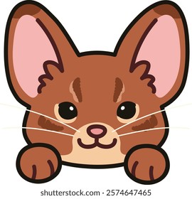 Simple and adorable Abyssinian Cat front face with paws