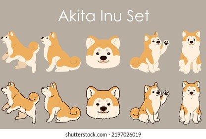 Simple and adorable Akita Dog set illustrations